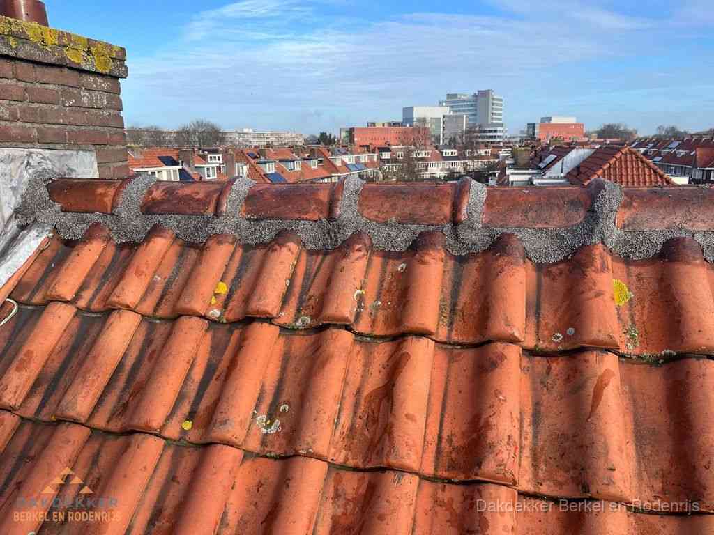 Berkelenrodenrijs Daken Renoveren Berkelenrodenrijs Daken Renoveren