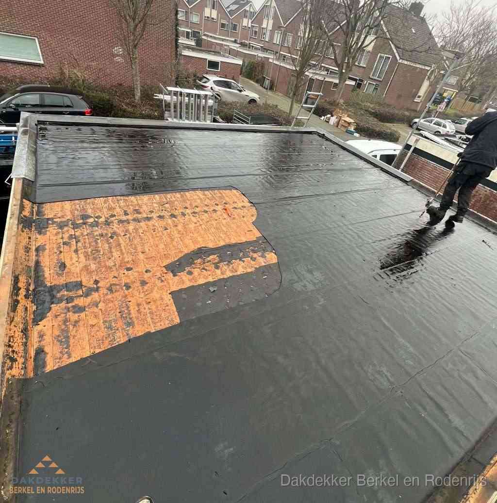 Dakdekker Berkelenrodenrijs Dakdekker Berkelenrodenrijs