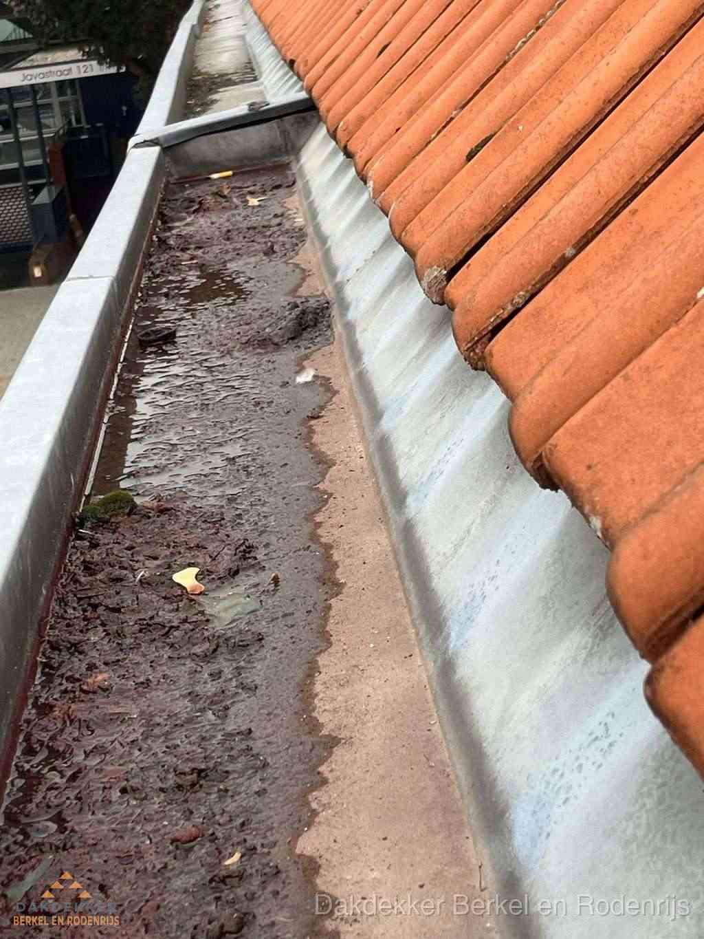 Dakgoot Reparatie Berkelenrodenrijs Dakgoot Reparatie Berkelenrodenrijs