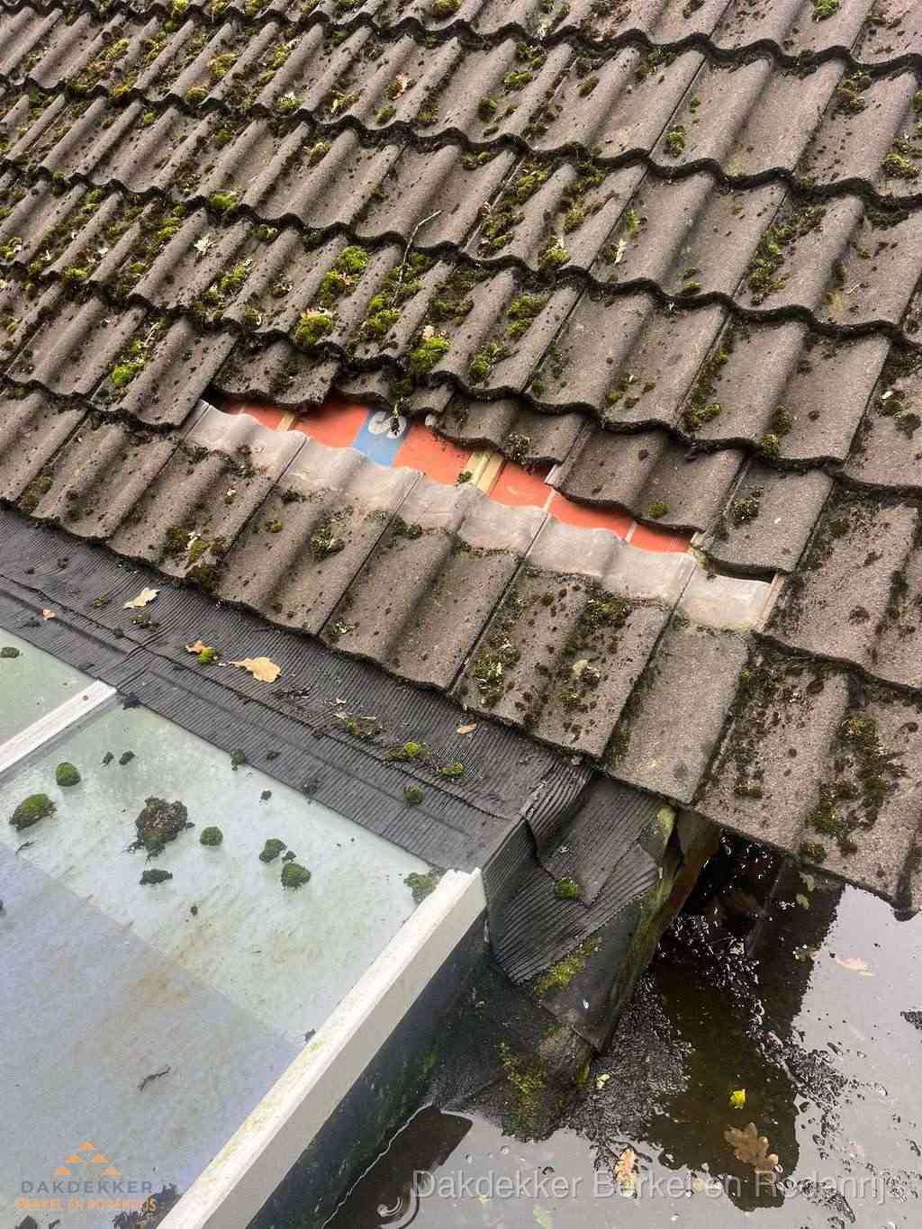 Dakpannen Repareren Berkelenrodenrijs Dakpannen Repareren Berkelenrodenrijs