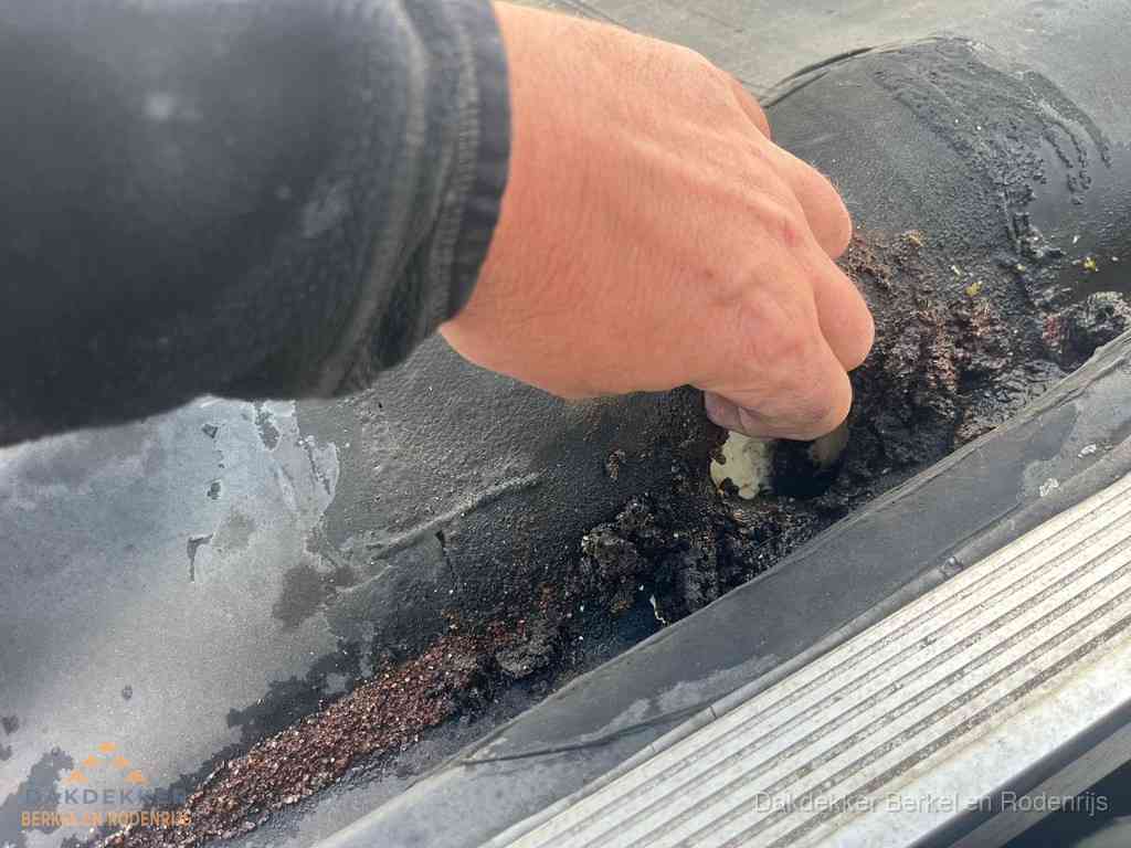 Plat Dak Reparatie Berkelenrodenrijs Plat Dak Reparatie Berkelenrodenrijs
