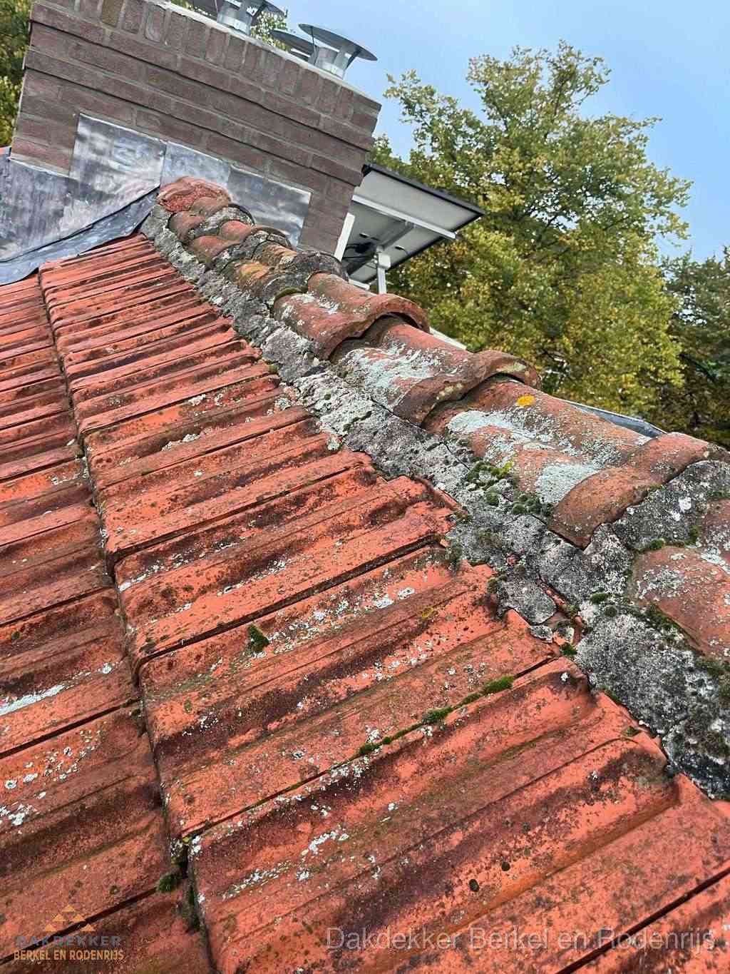 Renovatie Hellend Dak Berkelenrodenrijs Renovatie Hellend Dak Berkelenrodenrijs